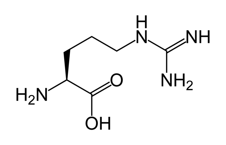 L-Arginina – niesamowity aminokwas.
